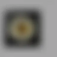 Avatar for Artist 035