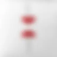 Avatar for Artist 495