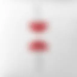 Avatar for Artist 495