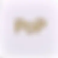 Avatar for Artist 196