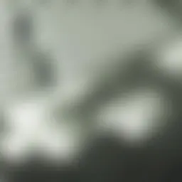 Avatar for Artist 535