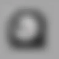 Avatar for Marivel Altenwerth