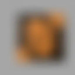 Avatar for Artist 028