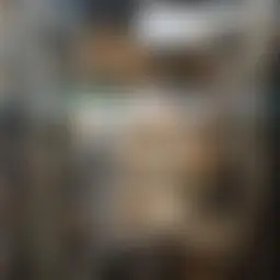 Avatar for Artist 616