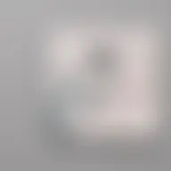 Avatar for Artist 025