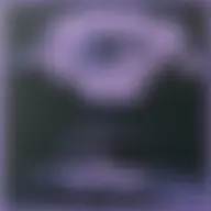 Avatar for Artist 431