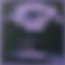 Avatar for Artist 431