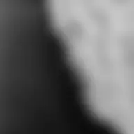 Avatar for Artist 315