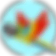 Avatar for Tim Bow