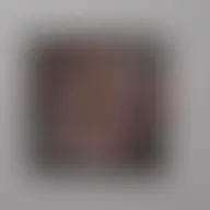 Avatar for Rashida Bode