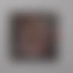 Avatar for Rashida Bode