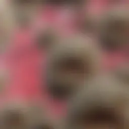 Avatar for Artist 167