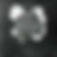 Avatar for Artist 226