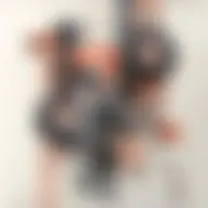 Avatar for Artist 102
