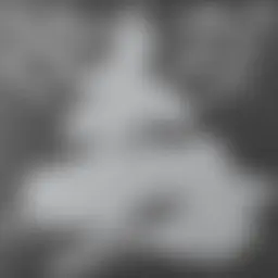 Avatar for Artist 286