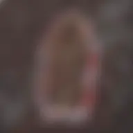 Avatar for Artist 161