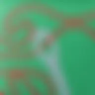 Avatar for Artist 147