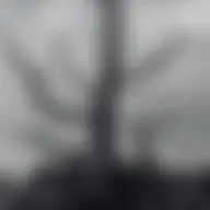 Avatar for Artist 428