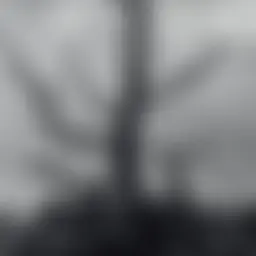 Avatar for Artist 428
