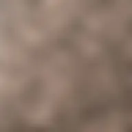 Avatar for Artist 348