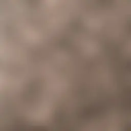 Avatar for Artist 348