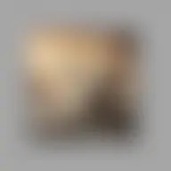 Avatar for Erich Grant