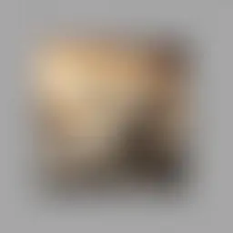 Avatar for Erich Grant