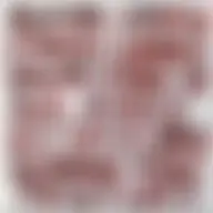 Avatar for Artist 601