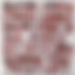 Avatar for Artist 601