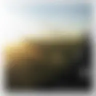 Avatar for Artist 306
