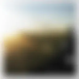 Avatar for Artist 306