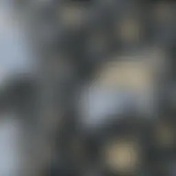 Avatar for Artist 320