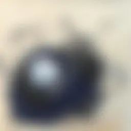 Avatar for Artist 305
