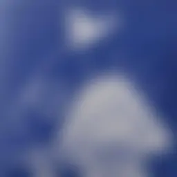 Avatar for Artist 464