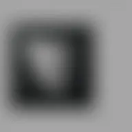 Avatar for Alejandrina Schiller