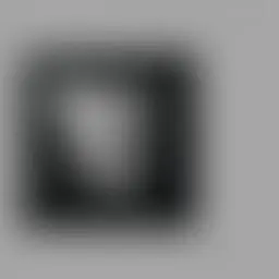 Avatar for Alejandrina Schiller