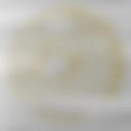Avatar for Artist 357