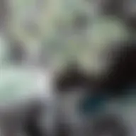 Avatar for Artist 190