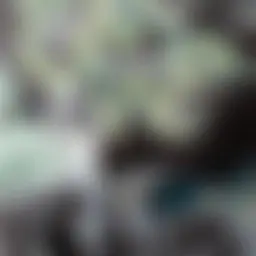 Avatar for Artist 190