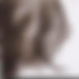 Avatar for Artist 365
