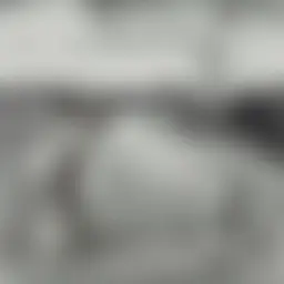 Avatar for Artist 026