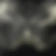 Avatar for Artist 686