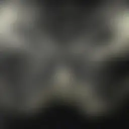 Avatar for Artist 686