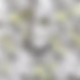 Avatar for Artist 188