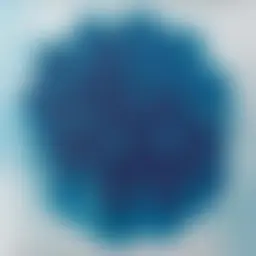 Avatar for Artist 528