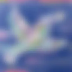 Avatar for Artist 521