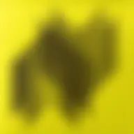 Avatar for Artist 231