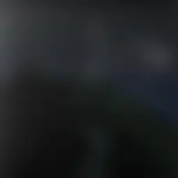 Avatar for Artist 443