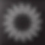 Avatar for Artist 667