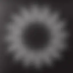 Avatar for Artist 667